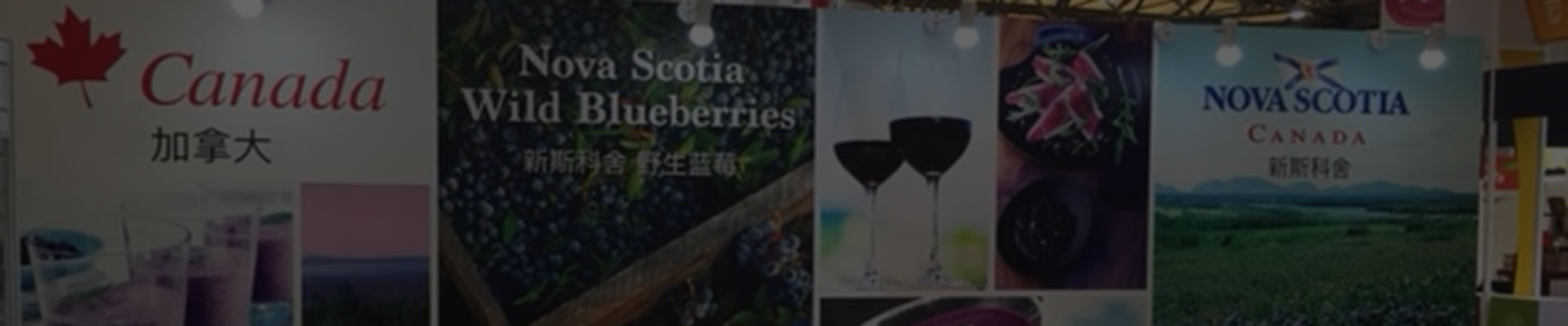 Wild Blueberry trade show booth display in Shanghai, China