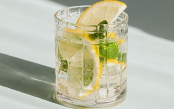 Glass of Gin with Lemon and Mint