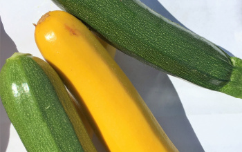 Green and yellow Zucchinis